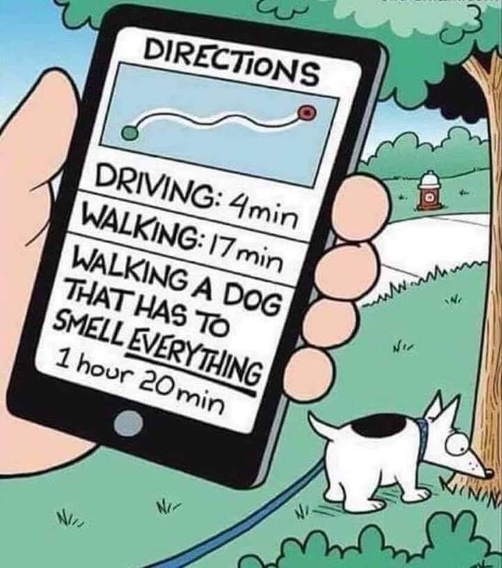 Comedy MajorsHow we really want Maps Directions